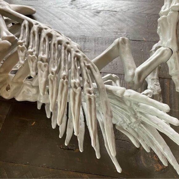 Skeleton Vulture Halloween Prop Scary Bird Raven Haunted Yard Outdoor Party Bone - Picture 6 of 8